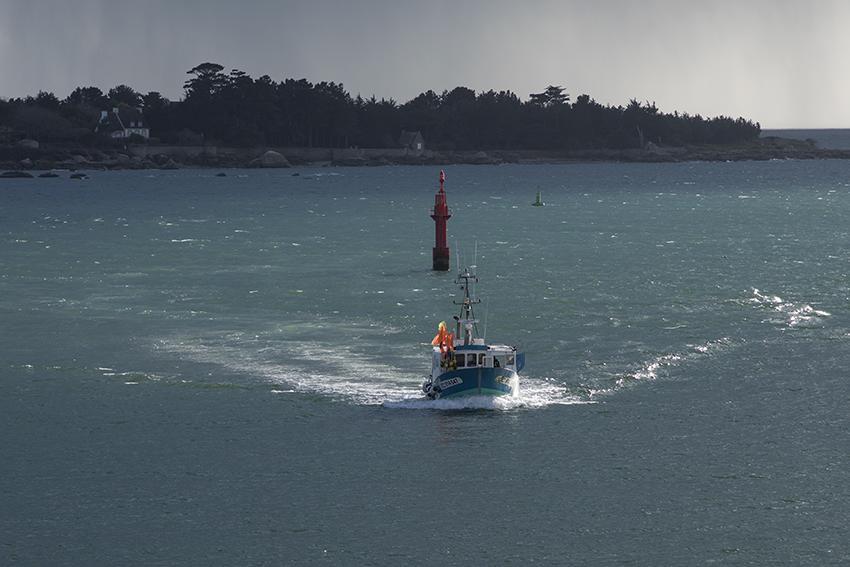 Domitys La Chaloupe Bleue Lejlighedshotel Concarneau Eksteriør billede